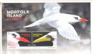 Australia - Birds - Norfolk Island Mnh Sheet 2016