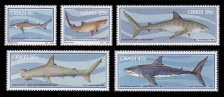 Ciskei 1983 Sharks Fish Marine Life Set Mnh