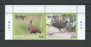 O1181 2018 Tonga Fauna Birds Birdpex 8 Expo Orange - Footed Scrufowl 1set Mnh