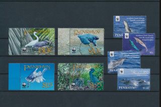 Lk67955 Cook Islands Penrhyn Birds & Fish Wildlife Fine Lot Mnh