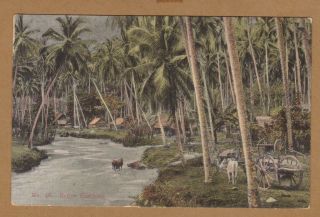 Straits Settlements 1907 Native Campong postcard from Malaya Penang 2