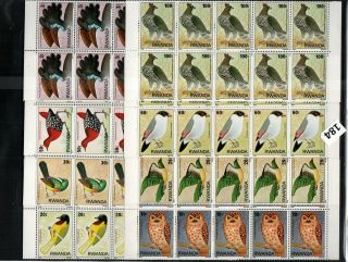 Go 10x Rwanda 1979 - Mnh - Birds - Owls
