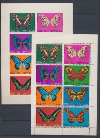 Xb68413 Oman Perf/imperf Insects Bugs Flora Butterflies Sheets Xxl Mnh