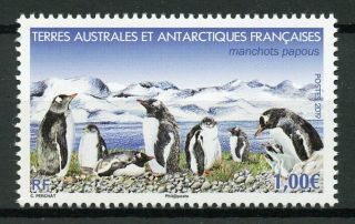 Fsat Taaf 2019 Mnh Gentoo Penguins 1v Set Birds Stamps