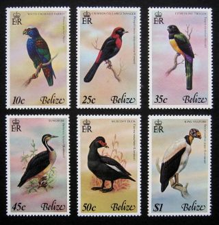 Belize 1978 Birds.  Full Set Of 6 Stamps.  Nh