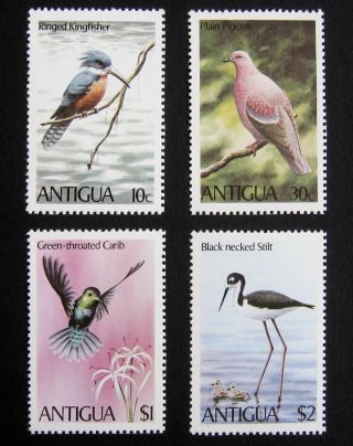 Antigua 1980 Birds.  Full Set Of 4 Stamps.  Mnh