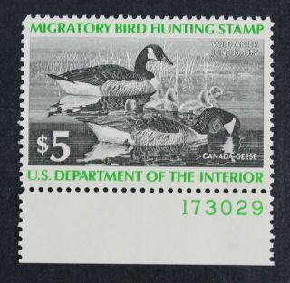 Ckstamps: Us Federal Duck Stamps Scott Rw43 $5 Nh Og
