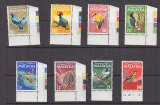 Malaysia,  1965 Birds Set Of 8,  Marginal,  Mnh.  $ 10.  00 Short Corner Perf.