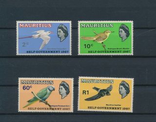 Lk62213 Mauritius 1967 Animals Fauna Flora Birds Fine Lot Mnh