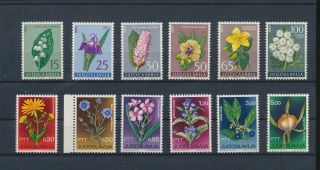 Lk55472 Yugoslavia Plants Flora Nature Flowers Fine Lot Mnh