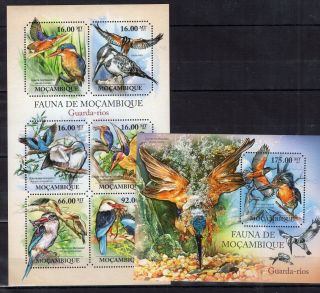 Mozambique 2011 Guarda - Rios Birds On Postage Stamps Mnh Wy
