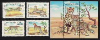 Uzbekistan Cheetah Acinonyx Jubatus Gepard 4v,  Ms Mnh Sg 612 - Ms616