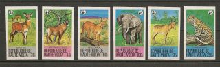 Upper Volta 1979 Wwf Wildlife Fauna Tiere Dieren Animals Imperforated Set Mnh