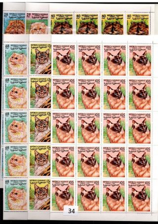 / 40x Sahara - Mnh - Pets - Animals - Cats - Folded Sheets - 1999 -
