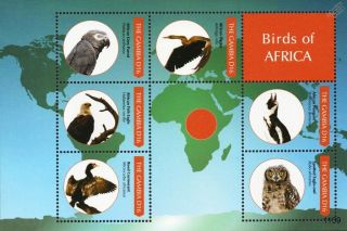 Birds Of Africa Stamp Sheet (penguin/eagle Owl/parrot/cormorant/african Darter)