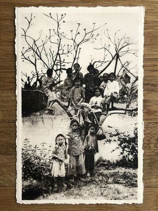 China Old Postcard Ursulines Mission School Girls Tree