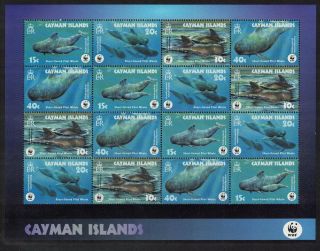 Cayman Is.  Wwf Short - Finned Pilot Whale Sheetlet Of 4 Sets Mnh Sg 1037 - 1040