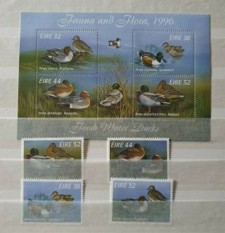 Birds Ducks Wildlife Set,  Sheet Eire Ireland Vf Mnh B253.  3 Start 0.  99$