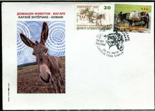 316 - Macedonia 2019 - Domestic Animals - Donkey - Fdc