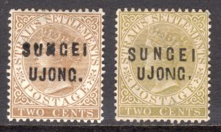 Malaya Sungei Ujong 1883 - 84 Opts On 2c Brown Two Types M,  Sg 28,  30 Cat £130