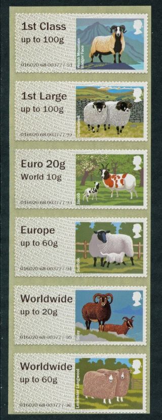 Ncr Type Iia Sheep Collector Set/6 Incl.  The Euro 20g/world 10g Value Post & Go
