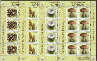 News Mushrooms Nagorno Karabakh Artsakh Armenia 2019 Set Of 4 Sheets Mnh R18400b