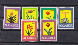 Mozambique 1985 Sc 966/70a Flower,  Set Mnh N983