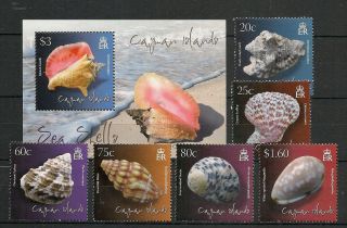 Cayman 2010 Fauna Wildlife Marinelife Fisch Fish Shells Compl.  Set,  Ss Mnh