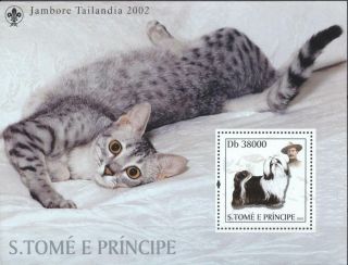 (223567) Scouting,  Cats,  Dogs,  Sao Tome E Principe