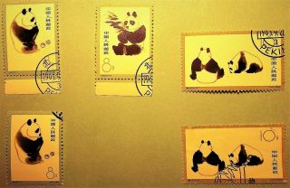Pr China Stamps 1963 S59 Giant Panda Set 3 Cto Og Nh Vf,  1 Cto,  1 Sc708 - 710