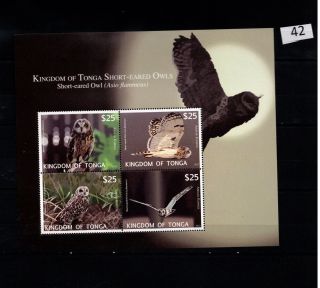 / Tonga - Mnh - Nature - Birds - Owls - 2012