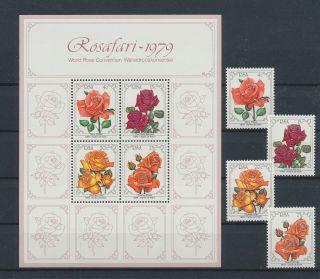 Lk81959 South Africa Roses Plants Nature Flowers Fine Lot Mnh