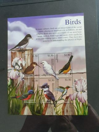 Thematics - Birds - Mnh Miniature Sheet - Dominica - As Seen