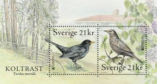 Europa Cept Sweden 2019 Birds Souvenirsheet Mnh Issue Date 9 - 5