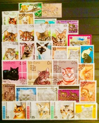 Cats Felines Tigers Animals Pets Stamps Thematic Educational 02210719
