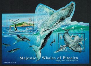 Pitcairn Humpback Whale Ms Mnh Sg Ms723