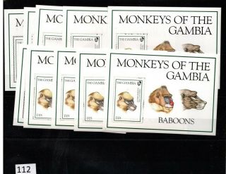 ,  10x Gambia - Mnh - Animals - Monkeys