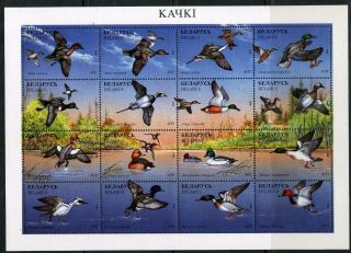 1996.  Belarus.  Birds.  Ducks.  M/sh Sc.  174.  Mnh