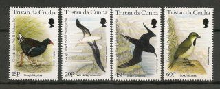 Tristan Da Cunha 1996 Wildlife Fauna Birds Vögel Oiseaux Compl.  Set Mnh