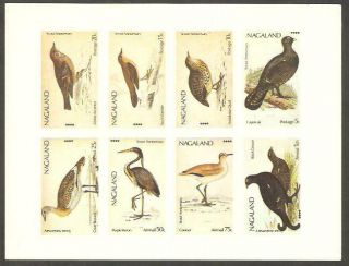 Nagaland 1974 Birds Warbler Quail Grouse Bustard Heron Scouts Anniversary Imperf