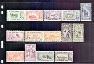 1952 Falkland Islands Full Set Of 14 Stamps To £1.  00 Lightly Hinged Mlh