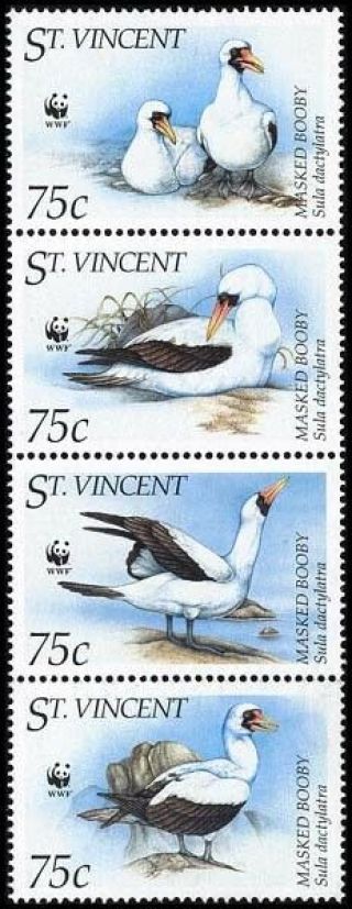 St.  Vincent Birds Wwf Masked Booby Strip Of 4v Mnh Sg 2882 - 2885 Mi 3073 - 3076