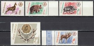 1964 Romania Wildlife Stamps Mnh