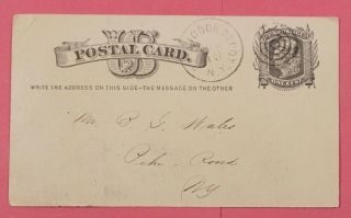 Dr Who 1881 Postal Card Dpo 1849 - 1906 Callicoon Depot York Ny 12962