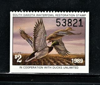 Hick Girl Stamp - Mnh.  U.  S.  1989 State Duck Stamp Sc Sd9 South Dakota Q1566