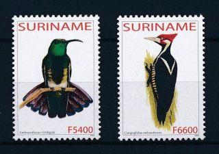 [su1211] Suriname Surinam 2003 Birds Vögel Oiseaux Mnh