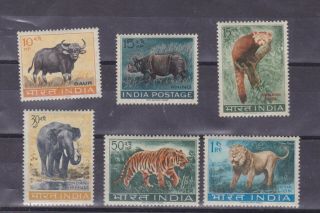 India 1962/3 Sc 361a/6 Fauna,  Set Mnh P988