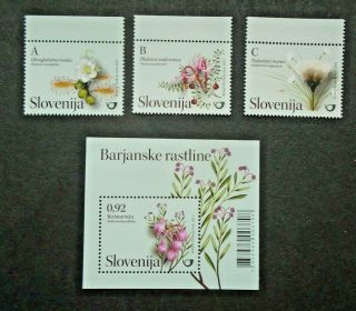 Recent Flora Flowers Set,  Sheet Vf Mnh Slovenia B230.  19 Start 0.  99$