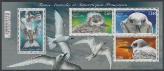 French Southern & Antarctic Territory 2017 Taaf Antarctic Birds M/s