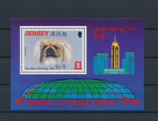 Lk58830 Jersey 1994 Pets Animals Fauna Flora Dogs Good Sheet Mnh